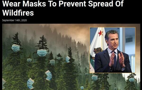 meme newsom træer med masker