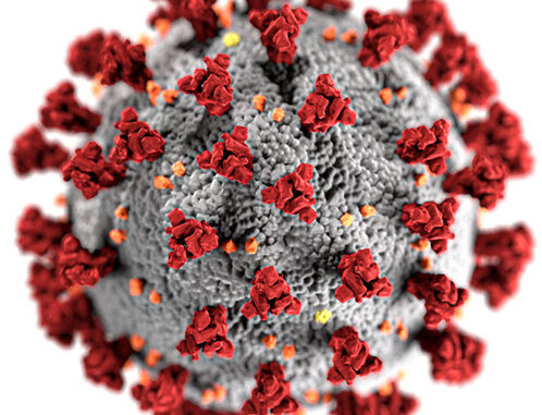 picture covid virus