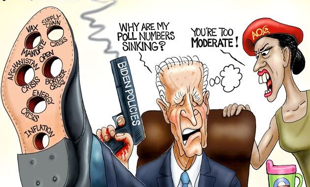 biden why bad polls