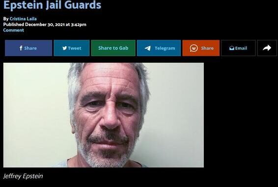 Ujustits i USA Epstein vagter ingen straf.resized
