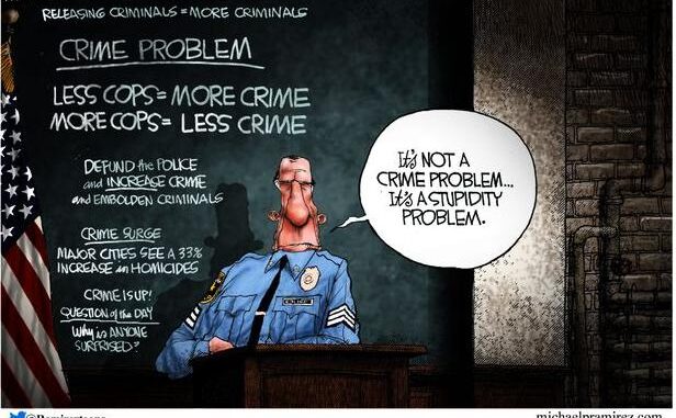 crime problem eq stupidity problem riots defund