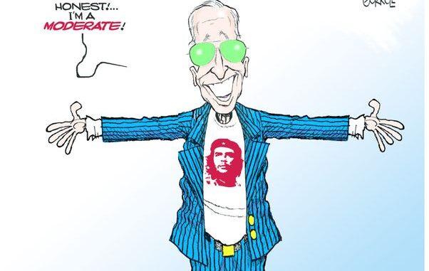 biden som moderate