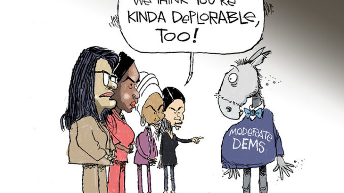 deplorable dems