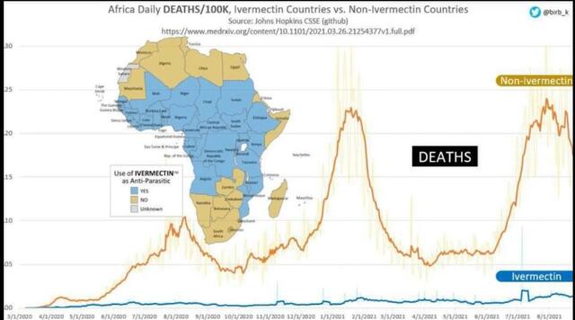 Africa vs ivermectin.resized