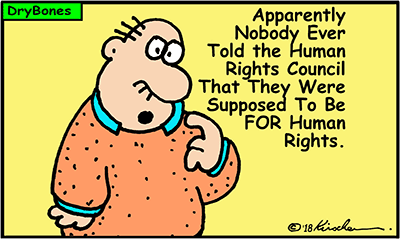UNHCR