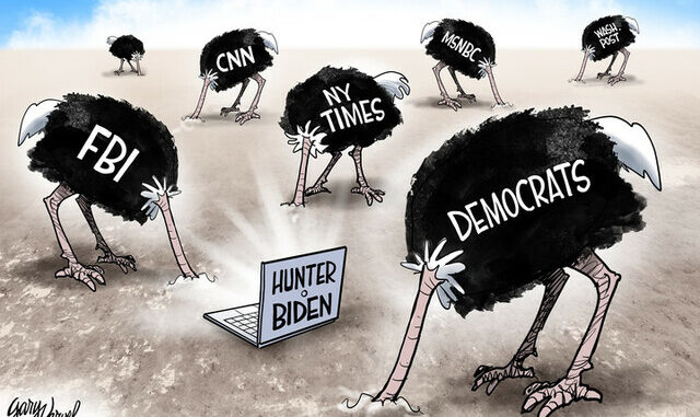 hunter-biden-strudse-msm