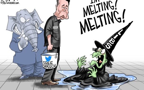 Musk-woke-og-gops