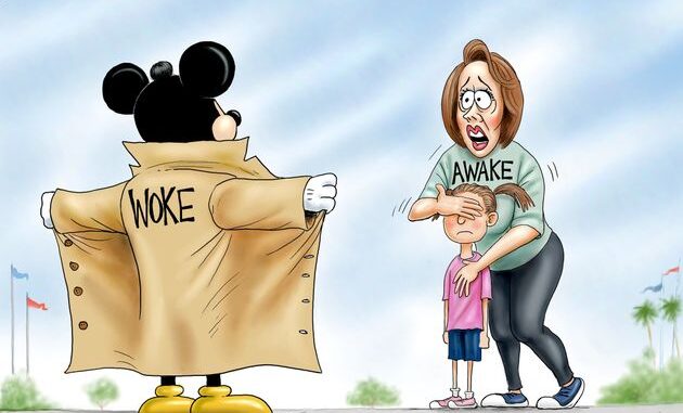 disney-woke-vs-awake-parents
