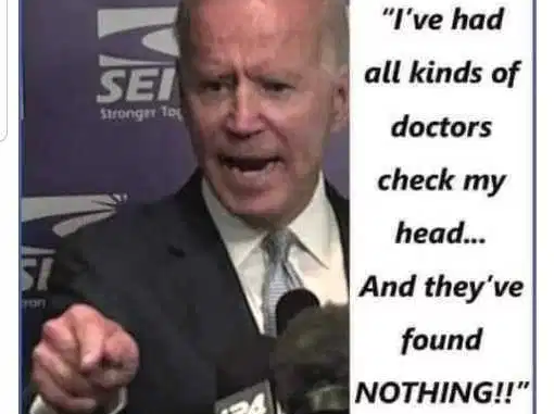 Bidens-brain