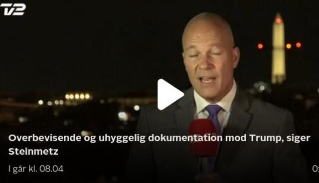 Steinmetz CNN papegøjen