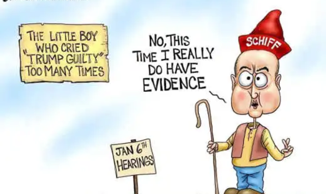 schiff idioten.resized