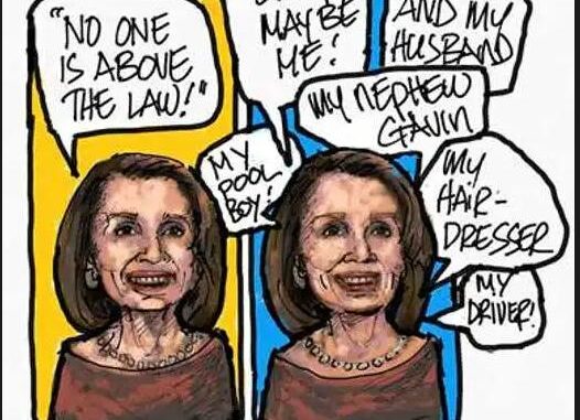 nancy-pelosi-no-one-above-law-nephew-husband-hairdresser-driver
