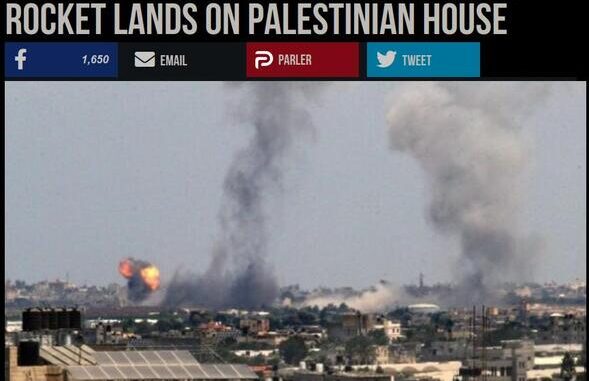 gaza svin.resized