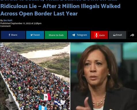 SnotDUMME kamala harris