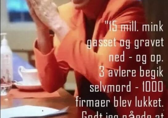 Mette-Mink