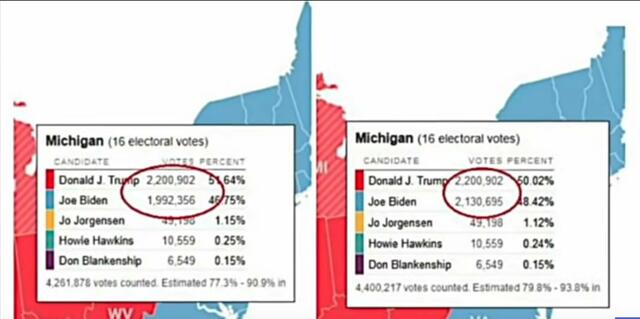 michigan fup 138339 vs 0 stemmer