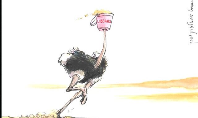 liberals struds.resized