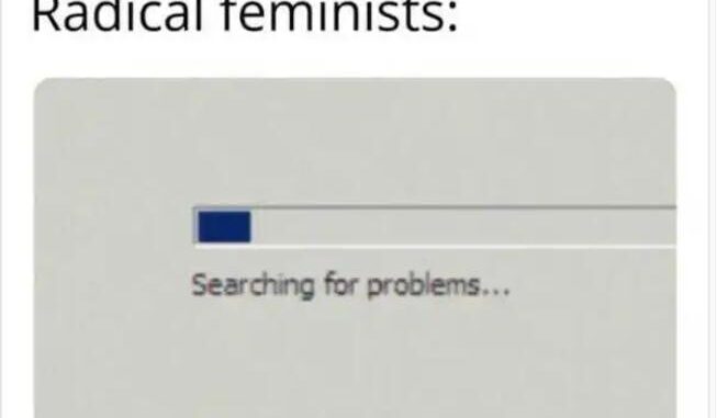 radical-feminists-searching-for-problems-progress-bar