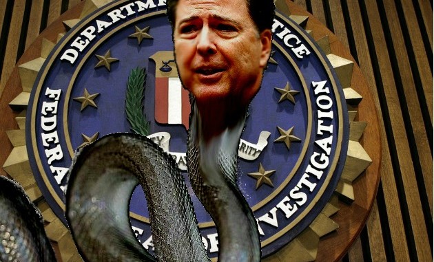 COMEY_SNAKE