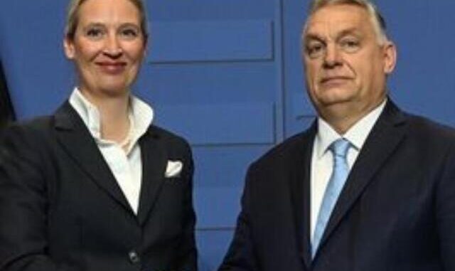 Orban og weidel