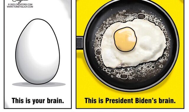 Your Brain and Bidens