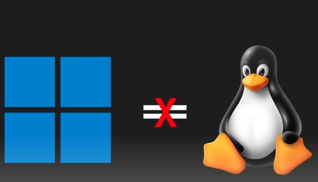 Linux NE Windows !