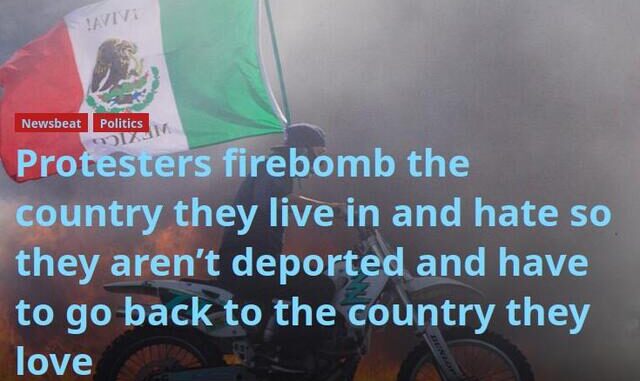 activists firebombs usa to stay