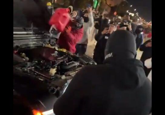 low iq vandaler