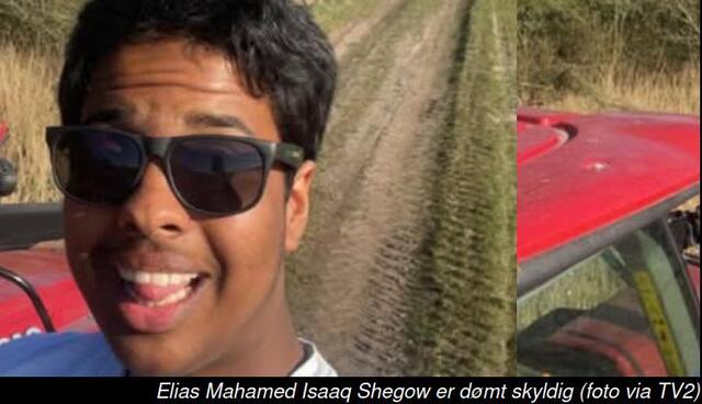 Elias Mahamed Isaaq Shegow mordersvin