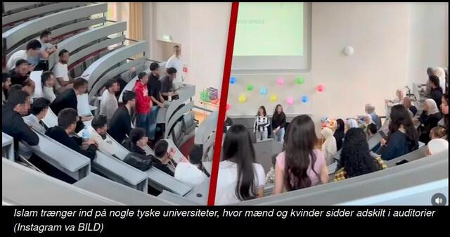 Islam på tyske universiteter